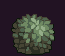 Flower bush tile animation
